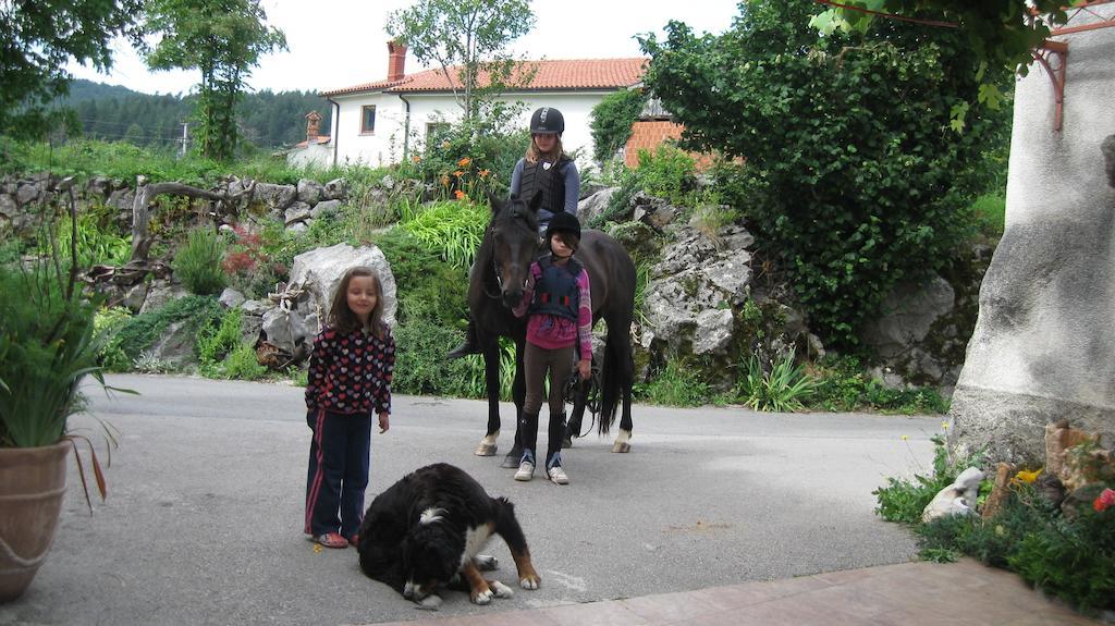 Tourist Farm Dujceva Domacija Vila Vremski Britof Exterior foto