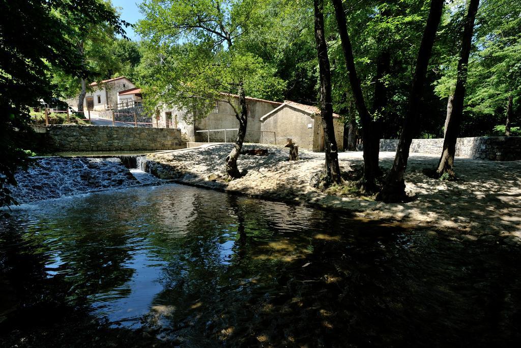 Tourist Farm Dujceva Domacija Vila Vremski Britof Exterior foto