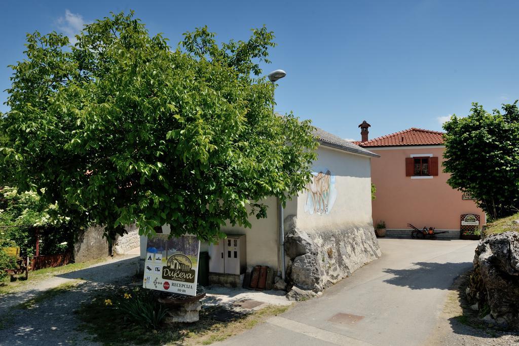 Tourist Farm Dujceva Domacija Vila Vremski Britof Exterior foto